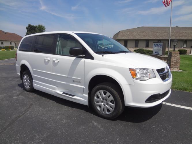 Braun Entervan Picture 1b