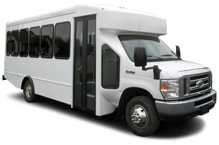 Turtle Top Terra Transit